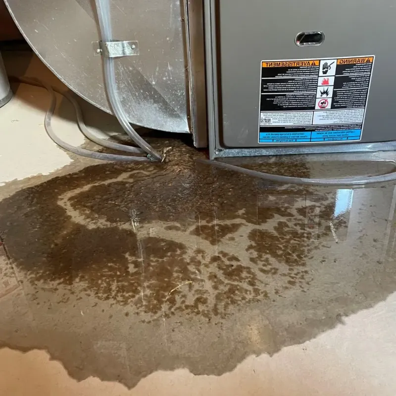 Pipe Burst and Leak Restoration in Worcester, NY